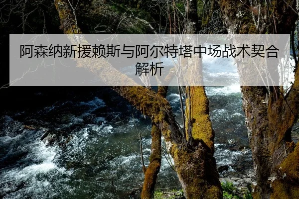阿森纳新援赖斯与阿尔特塔中场战术契合解析
